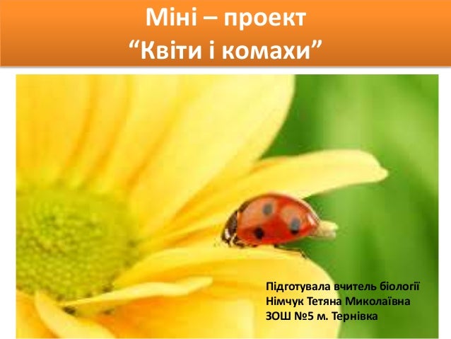 Реферат На Тему Квіти І Комахи Реферат На Тему Квіти І Комахи